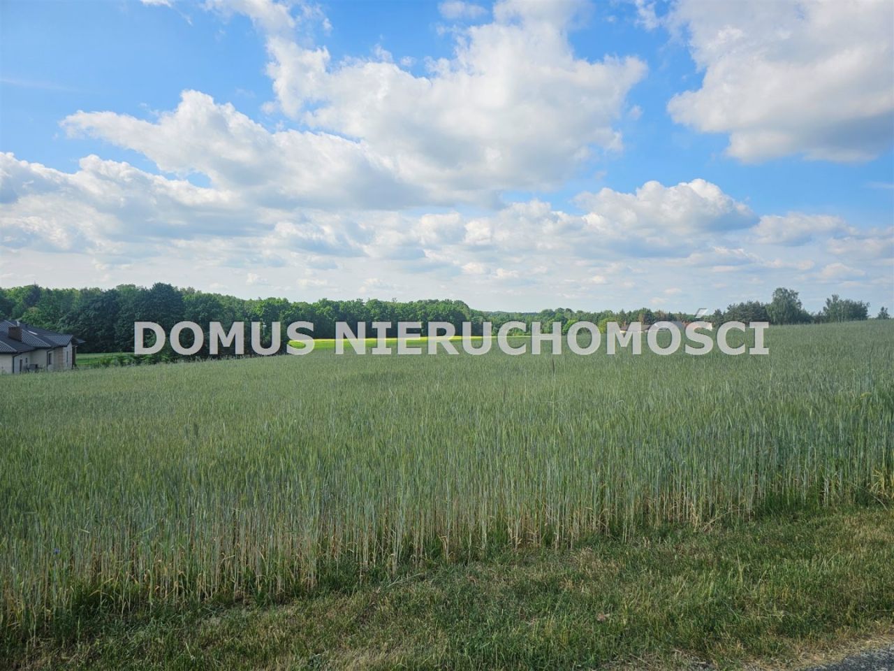 Działka Tworzyjanki. Zdjęcie 5