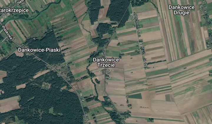 Działka rolna Dankowice Trzecie