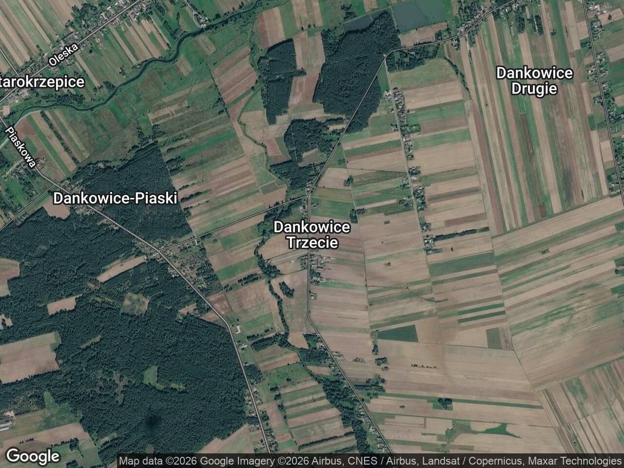 Działka rolna Dankowice Trzecie. Zdjęcie 1