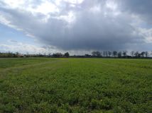 Działka rolno-budowlana Karniewo, ul. Jesionowa. Zdjęcie 3