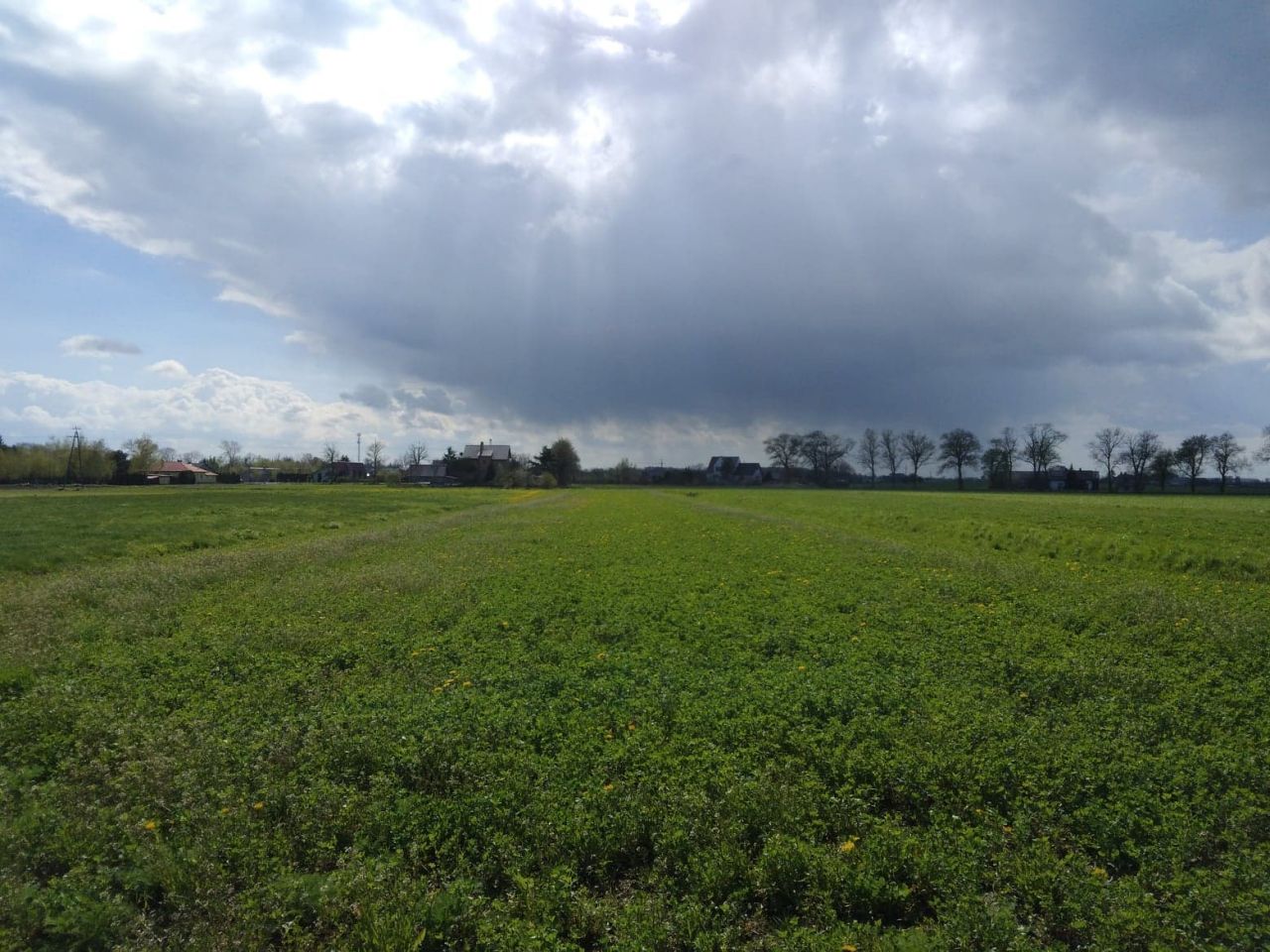 Działka rolno-budowlana Karniewo, ul. Jesionowa. Zdjęcie 4