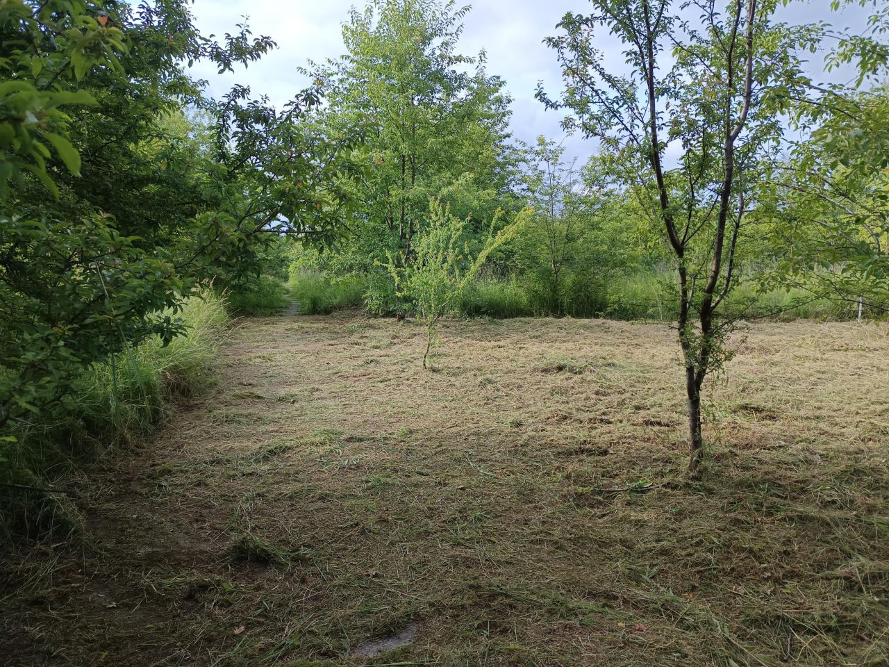 Działka rolna Mielec Cyranka, ul. Cyranowska. Zdjęcie 6