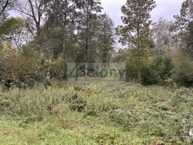 Działka budowlana Wilków Polski. Zdjęcie 3