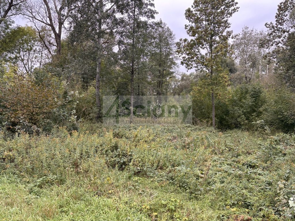 Działka budowlana Wilków Polski. Zdjęcie 3