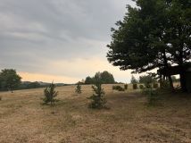 Działka budowlana Czyżów. Zdjęcie 2