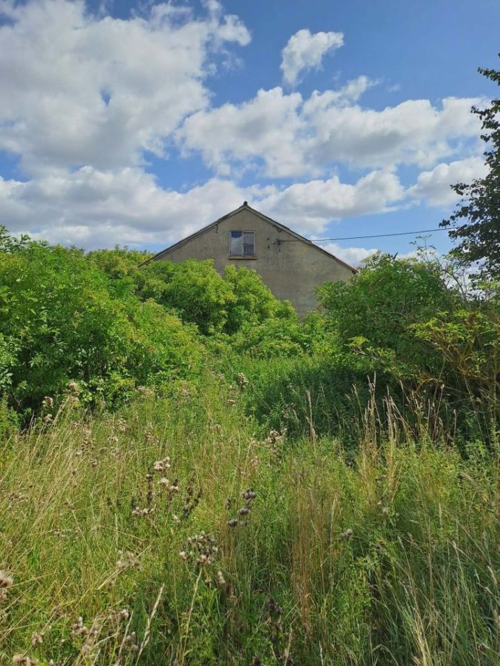 Działka siedliskowa Ossówka. Zdjęcie 3