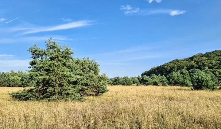 Działka Hutki-Kanki