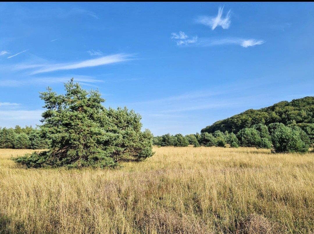Działka Hutki-Kanki