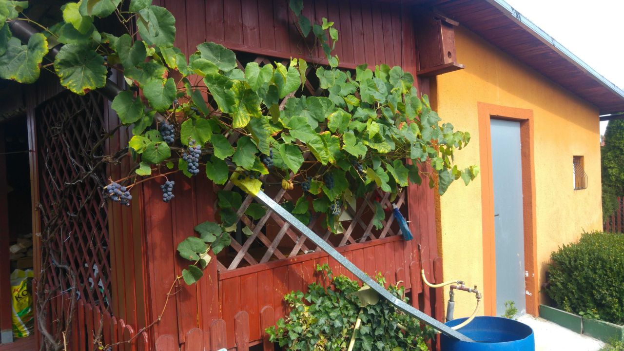 Działka rod Bolesławiec, ul. Augusta Cieszkowskiego. Zdjęcie 7