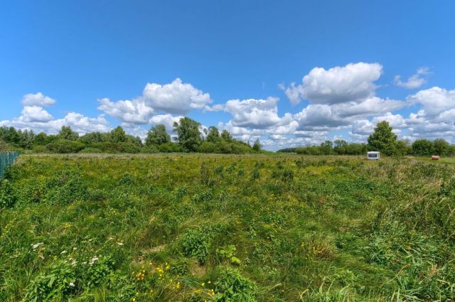Działka rolna Zdory. Zdjęcie 11