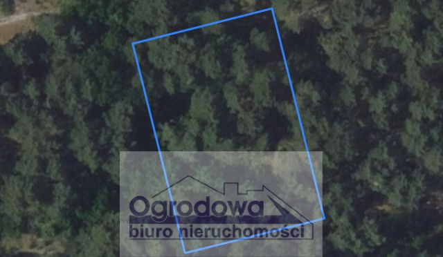 Działka rekreacyjna Popowo-Letnisko. Zdjęcie 2