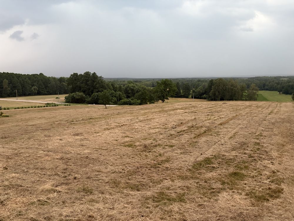Działka budowlana Czyżów. Zdjęcie 4