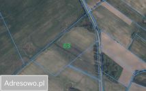 Działka rolna Pogrodzie. Zdjęcie 2