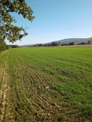 Działka rolno-budowlana Dębno Siedliszki. Zdjęcie 1