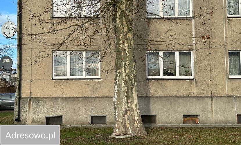 Mieszkanie 2-pokojowe Trzcińsko-Zdrój, ul. Cmentarna. Zdjęcie 13