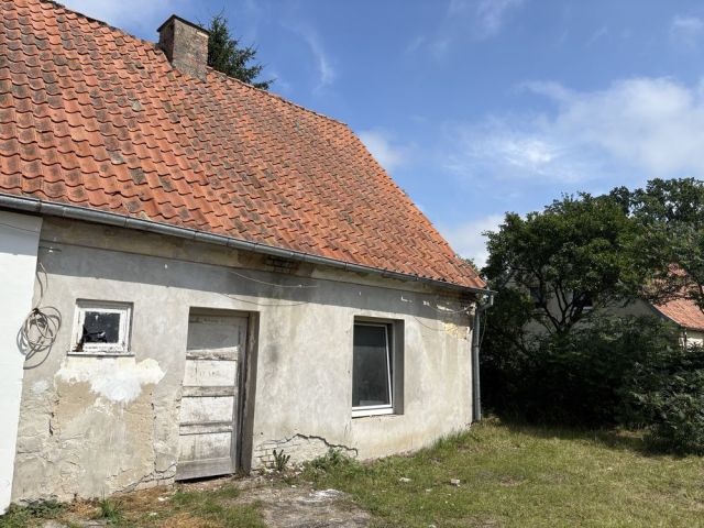 bliźniak Raniewo. Zdjęcie 1