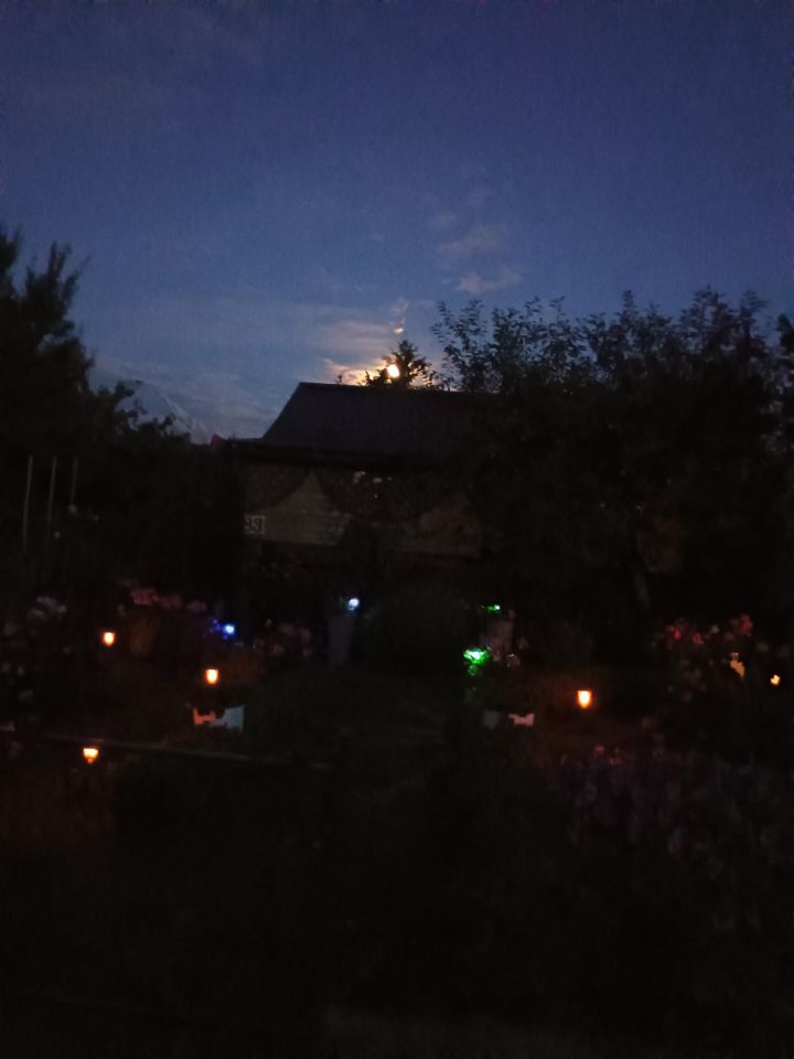 Działka rod Piła, al. Wojska Polskiego. Zdjęcie 5