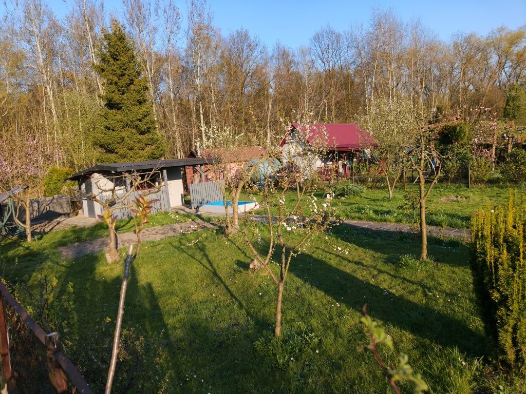 Działka rod Zabrze. Zdjęcie 2