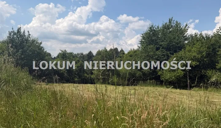 Działka rolno-budowlana Jastrzębie-Zdrój Ruptawa, ul. Rajdowa