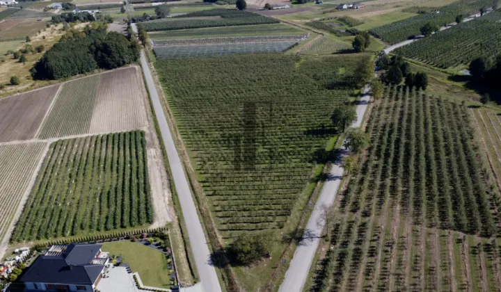 Działka rolna Boglewice