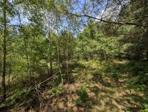 Działka budowlana Niewodnica Korycka. Zdjęcie 3