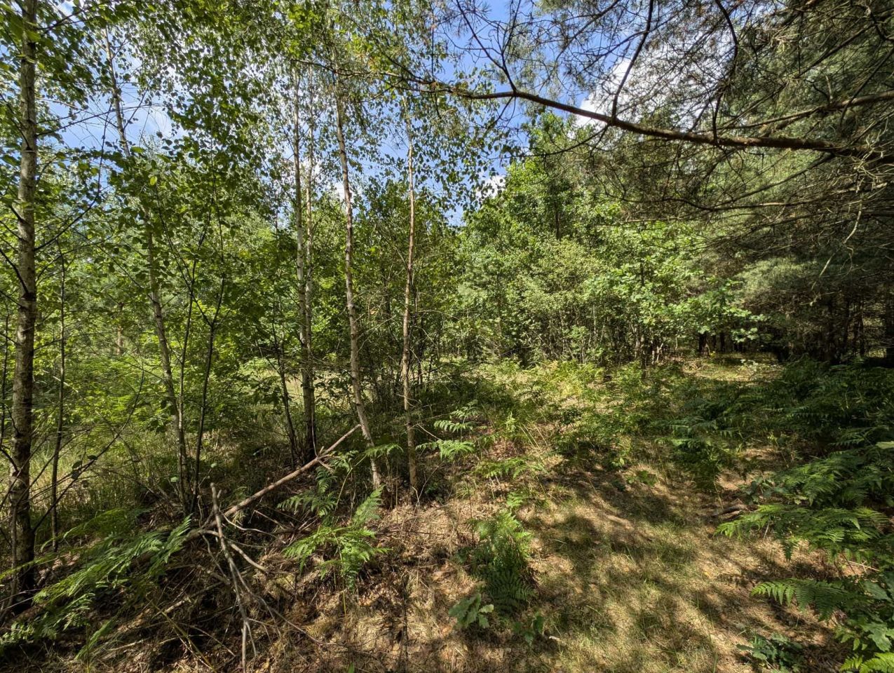 Działka budowlana Niewodnica Korycka. Zdjęcie 4