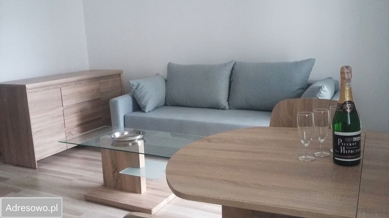 Mieszkanie 1-pokojowe Białystok Nowe Miasto, ul. Kręta. Zdjęcie 4