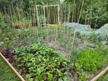 Działka rod Warszawa Rembertów. Zdjęcie 3