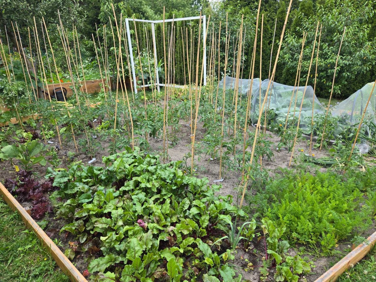 Działka rod Warszawa Rembertów. Zdjęcie 4