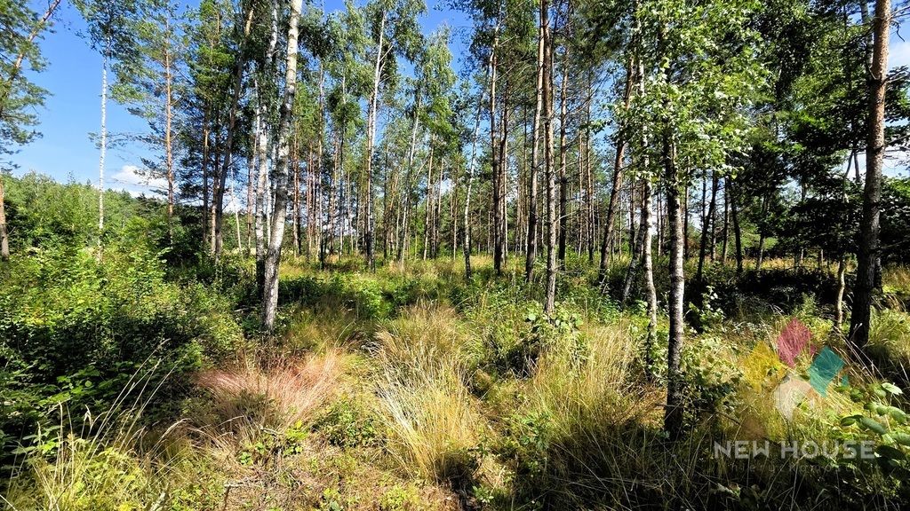 Działka budowlana Jabłonka. Zdjęcie 3