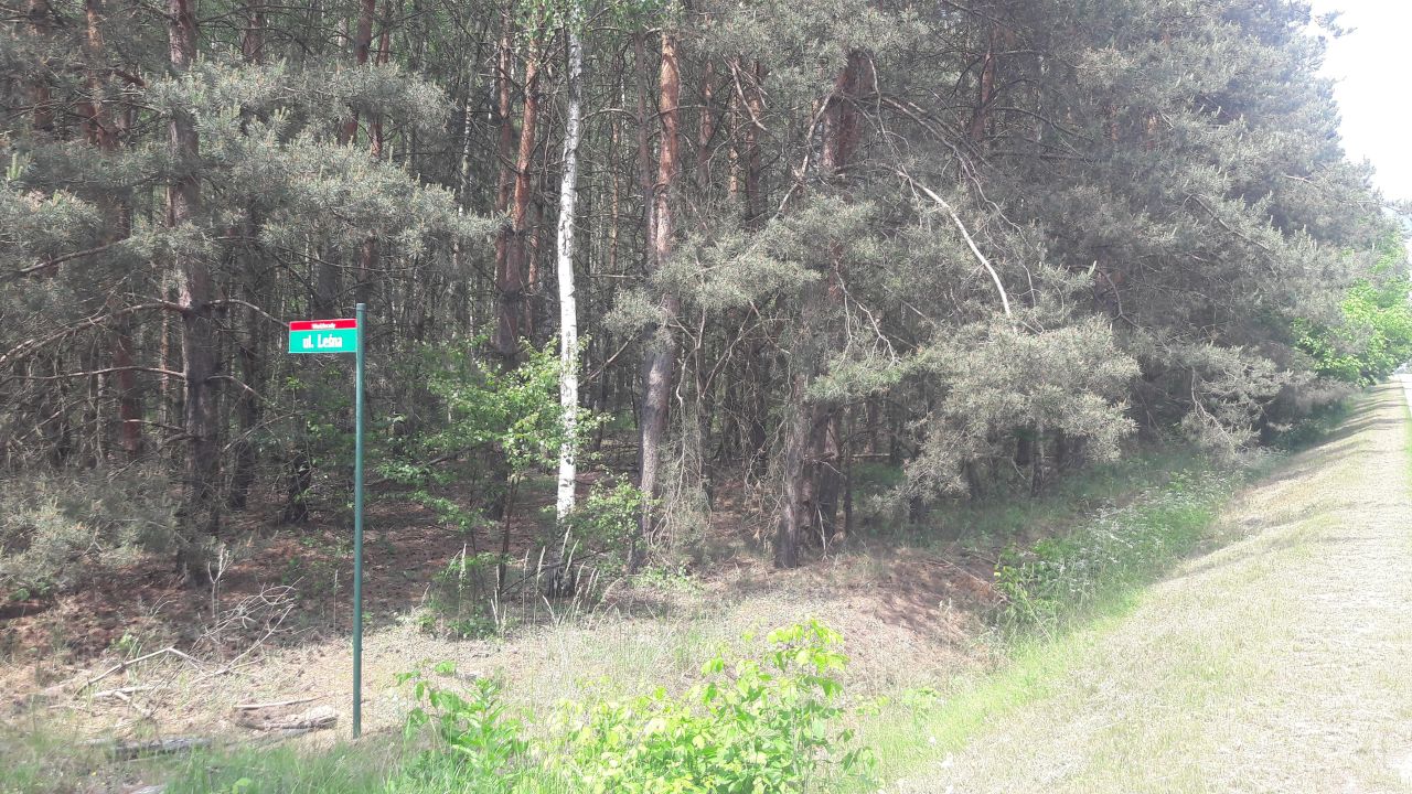 Działka budowlana Wodzierady, Leśna. Zdjęcie 3