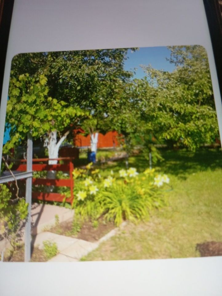 Działka rod Rogówko. Zdjęcie 3