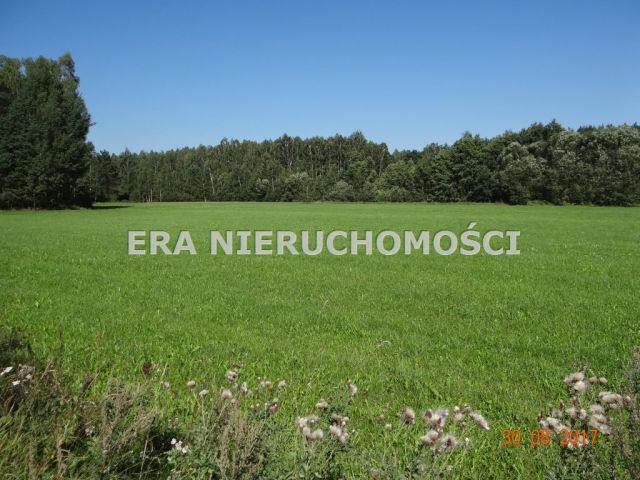 Działka inwestycyjna Popiołówka. Zdjęcie 1