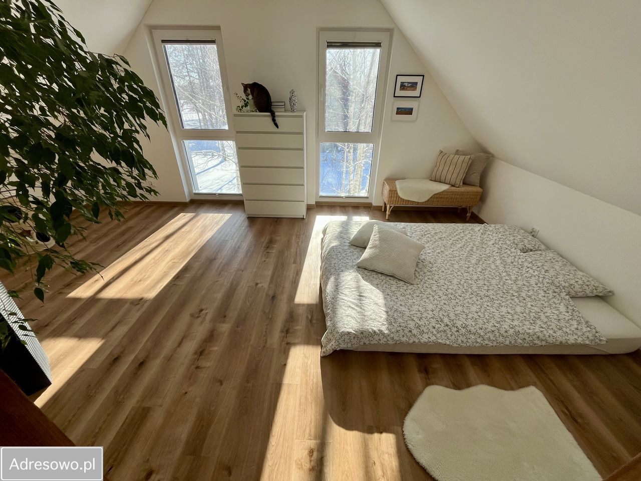 dom wolnostojący, 4 pokoje Domachowo. Zdjęcie 14