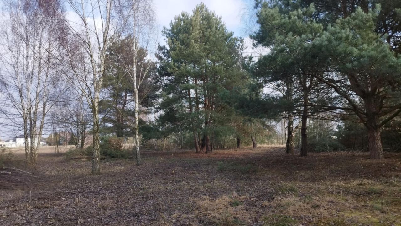 Działka budowlana Łuszczów Pierwszy. Zdjęcie 4