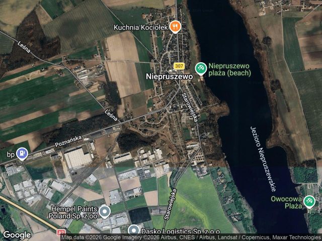 Działka budowlana Niepruszewo, ul. Żytnia. Zdjęcie 1