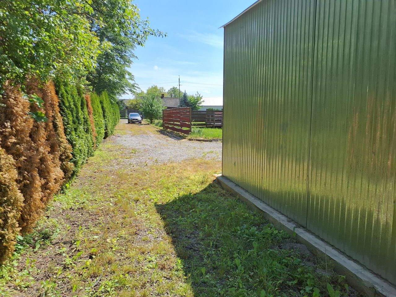 Działka rolna Gruszczyn, Gruszczyn. Zdjęcie 7