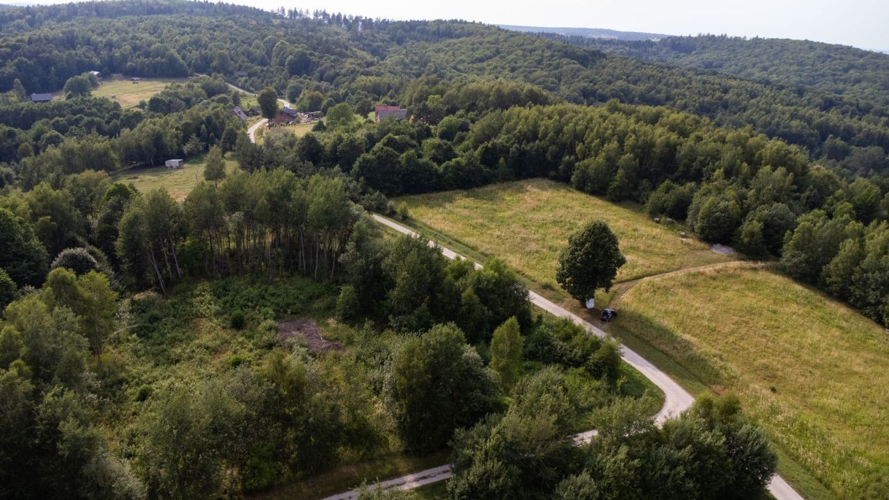 Działka rolna Nowy Borek. Zdjęcie 6