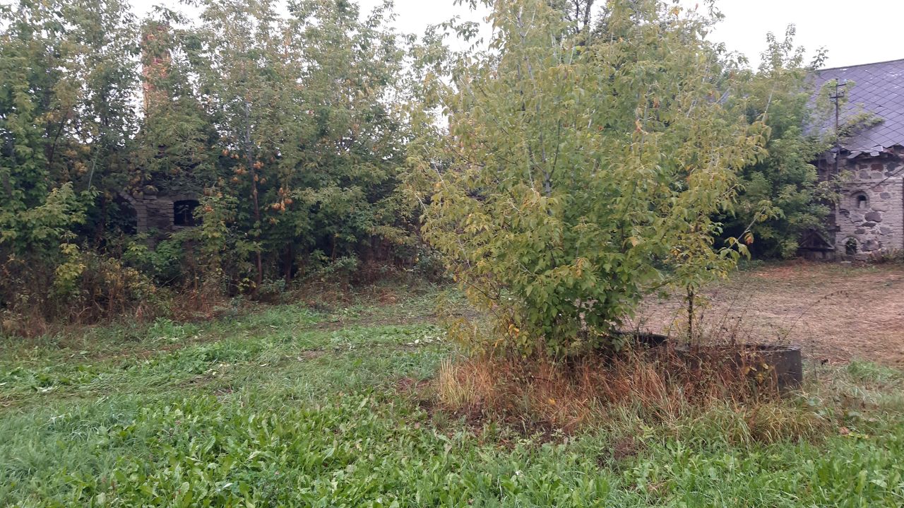 Działka siedliskowa Łoje-Awissa. Zdjęcie 4