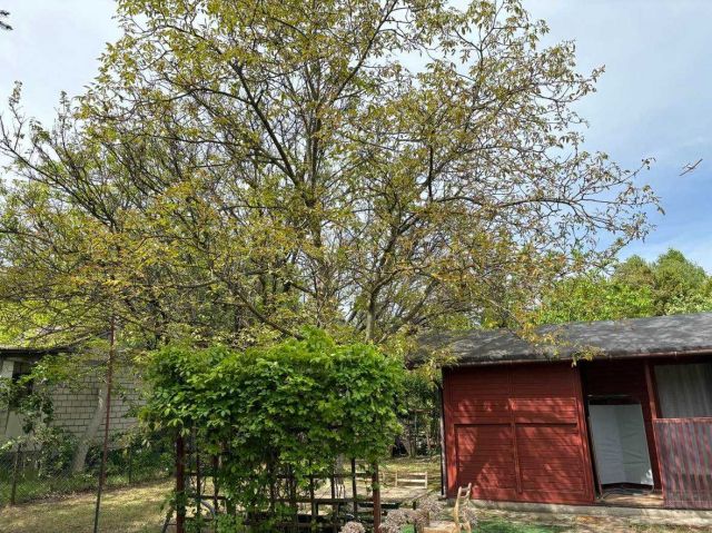 Działka rod Warszawa Bemowo, ul. Powstańców Śląskich. Zdjęcie 1