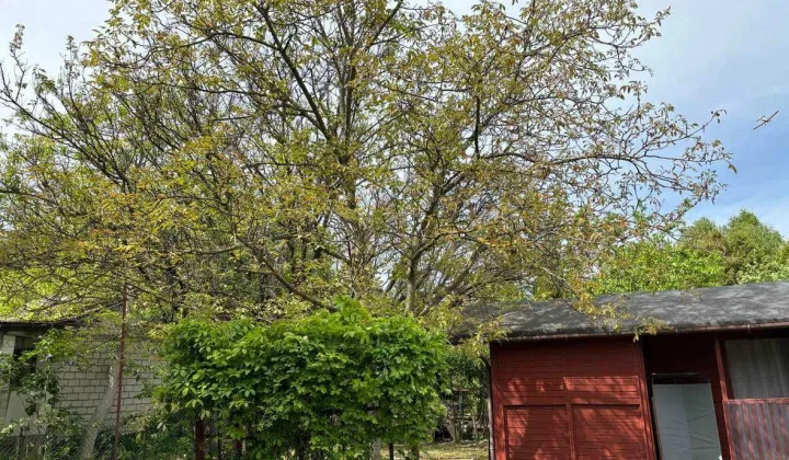 Działka rod Warszawa Bemowo, ul. Powstańców Śląskich