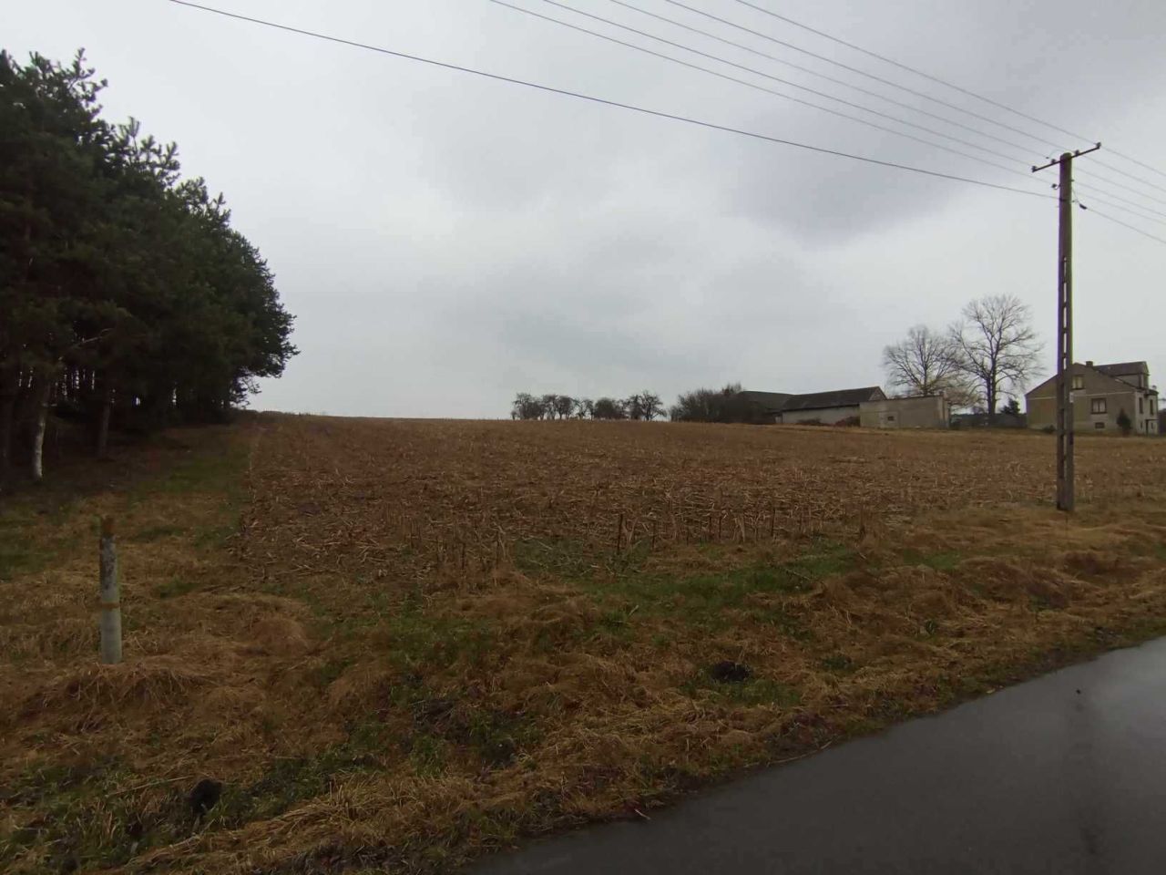 Działka rolna Stary Ciepielów. Zdjęcie 4