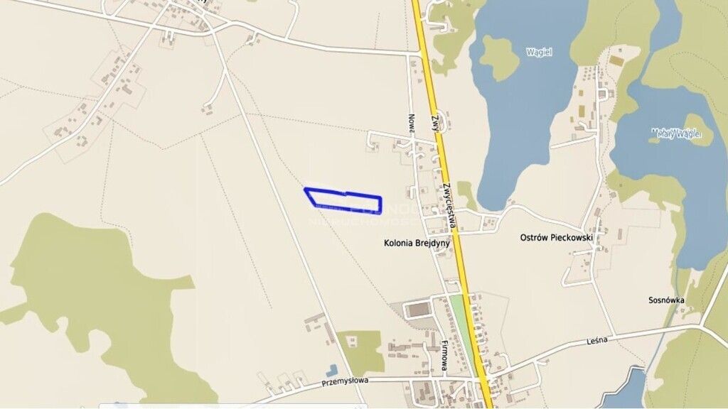 Działka rolna Piecki. Zdjęcie 4