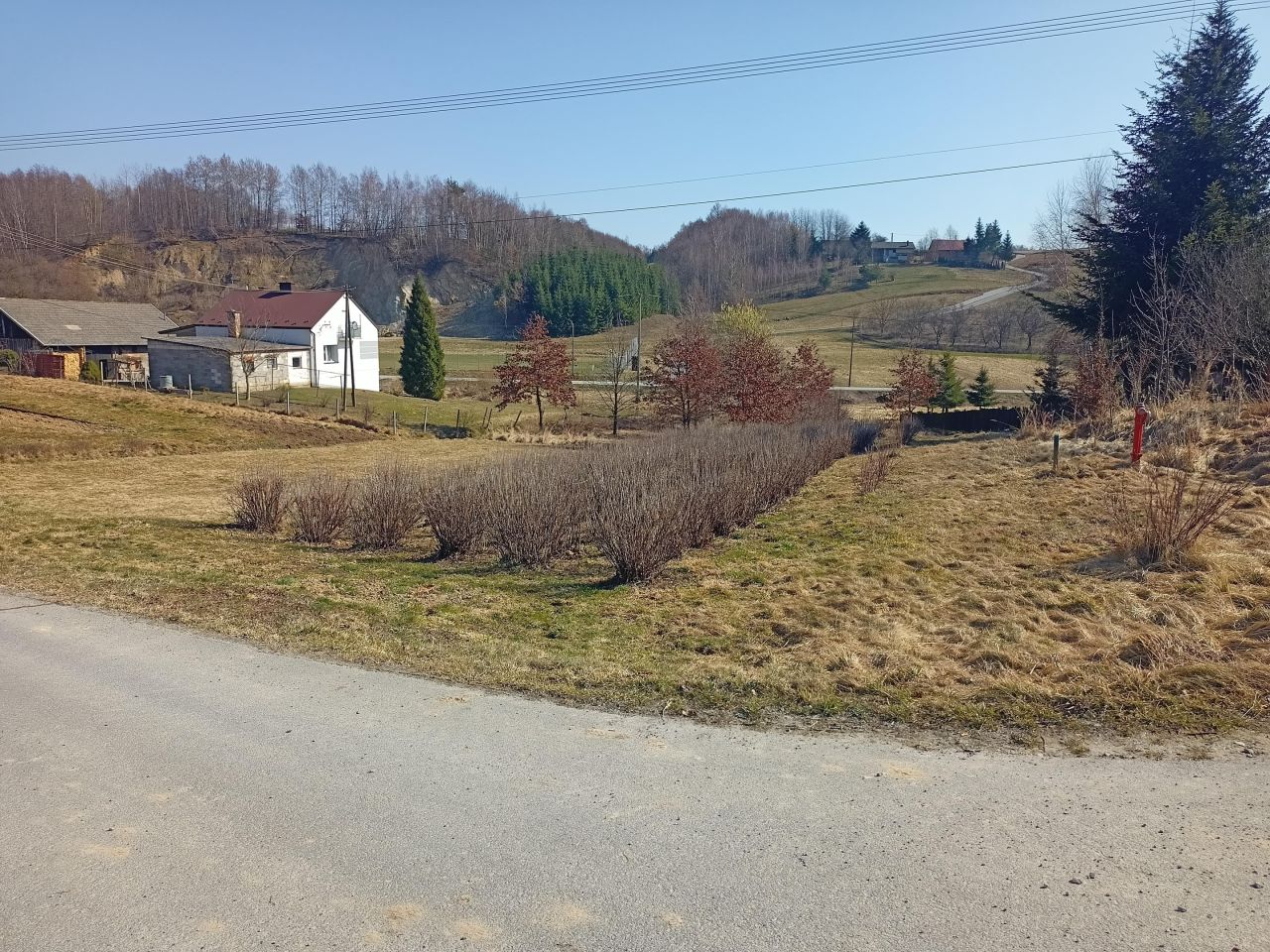 Działka rolno-budowlana Tarnawka Tarnawka Górna. Zdjęcie 3