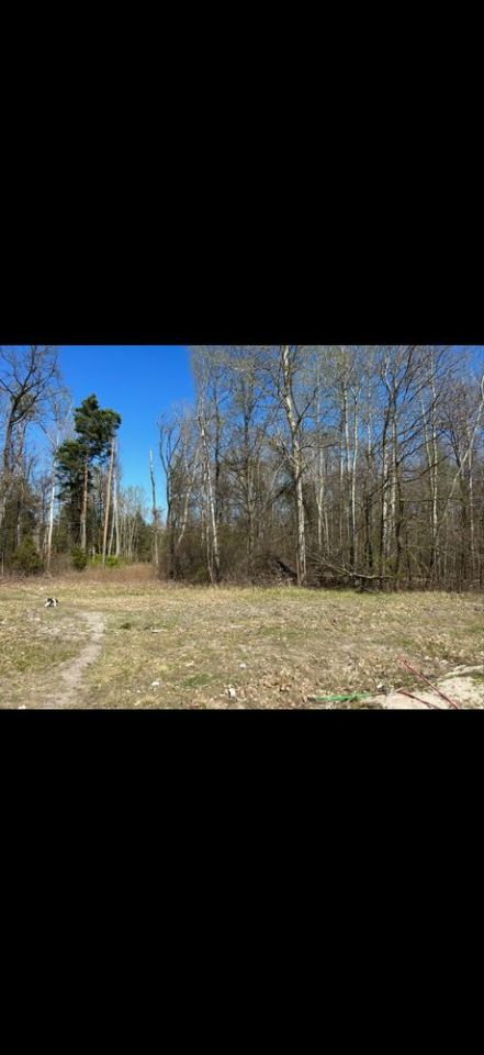 Działka leśna Zawodne. Zdjęcie 2