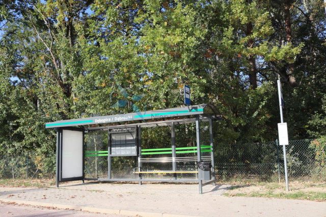 Działka budowlana Dębogóra. Zdjęcie 7