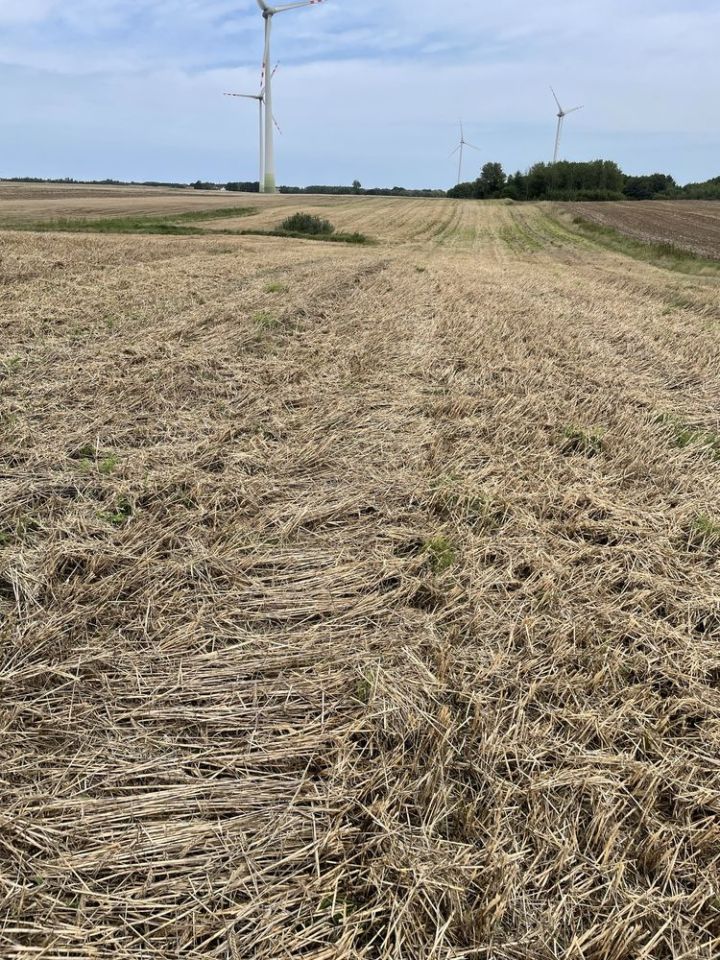 Działka rolna Kukinia. Zdjęcie 4