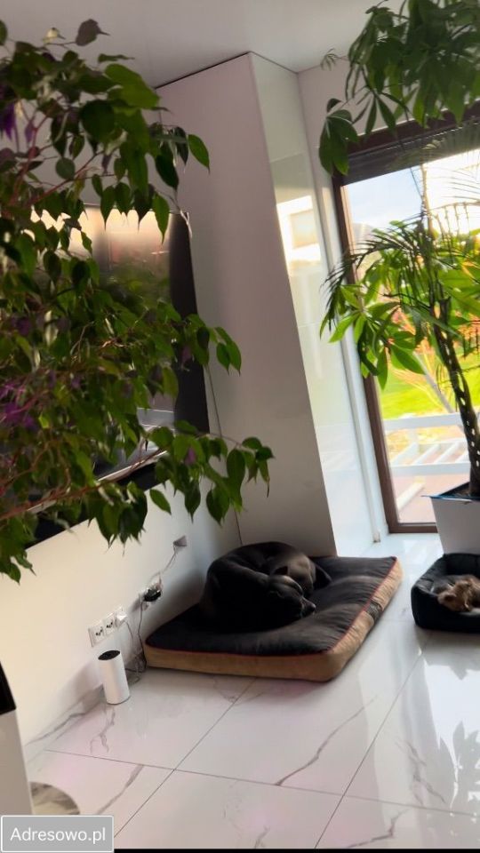 dom szeregowy, 5 pokoi Karwiany. Zdjęcie 20