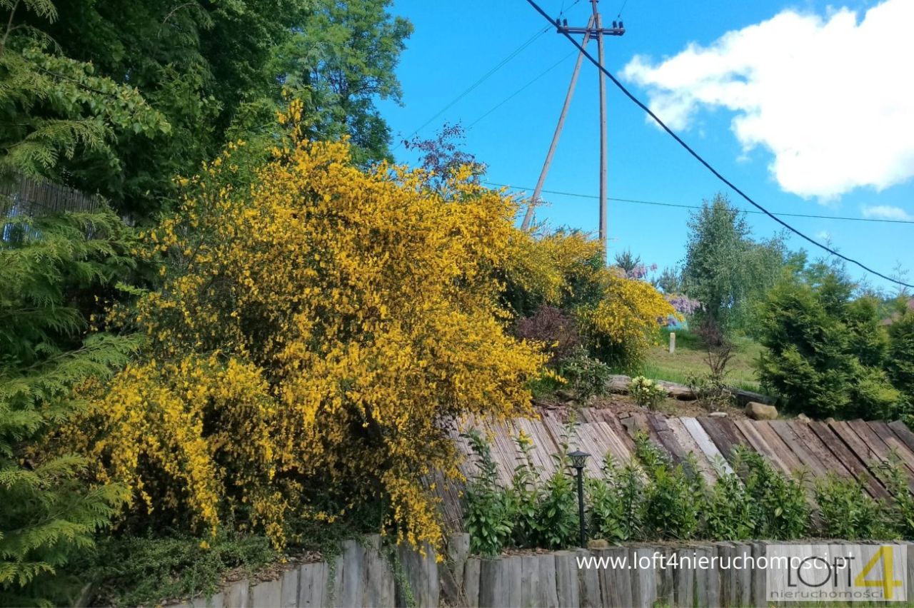 Działka budowlana Rozdziele. Zdjęcie 15