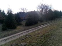 Działka budowlana Borowe. Zdjęcie 2